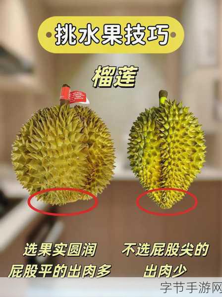 将水果放在小洞里捣碎：水果小洞里的秘密捣碎游戏揭开了被隐藏的美味世界