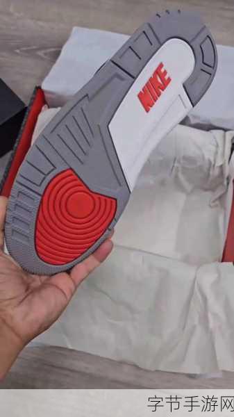 AIRJORDAN重口只有付费才能访问回复：神秘AIRJORDAN重口袋藏着付费才能揭开的真相