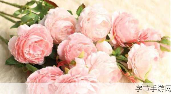 天天想你今夜无人入眠杨光：在孤独的夜空下，杨光默念着天天想你却无奈入眠无人伴侣