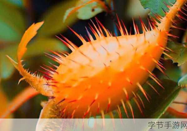 老中医用嘴排阴毒-小雨:老中医用嘴排阴毒,揭开小雨神秘身世的真相与宿命交织