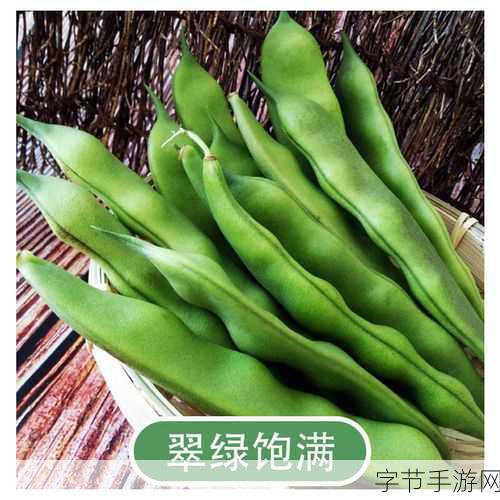 探索九月青豆角的神秘产地👀