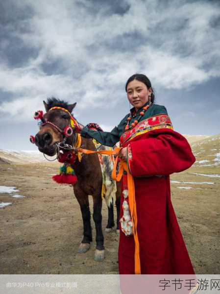 可可西里大但人文艺术听说主播很多:可可西里大但人文艺术之旅,主播们如何讲述这片神秘土地的故事