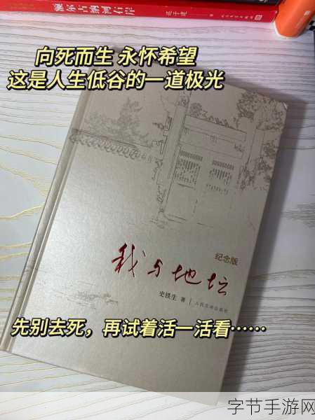 群轮换：在群轮换中寻找真相与自我救赎的旅程