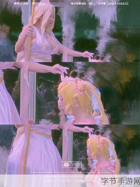 将军上公主的场面描写：将军在盛大婚礼上献给公主的誓言与荣耀瞬间