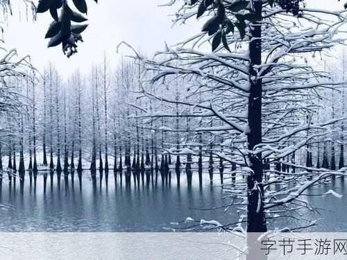 飘雪影视在线观看西瓜高清：飘雪银装素裹的城市中，一段温暖爱情在寒冬悄然绽放