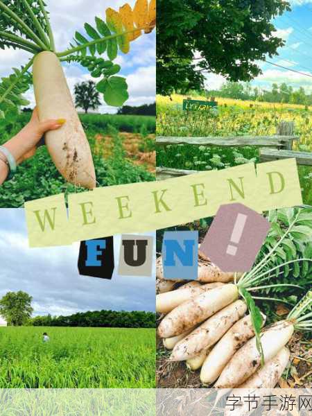 播放拔萝卜压腿舞蹈：在欢快的音乐中，拔萝卜压腿舞蹈带来的青春旋律与成长故事