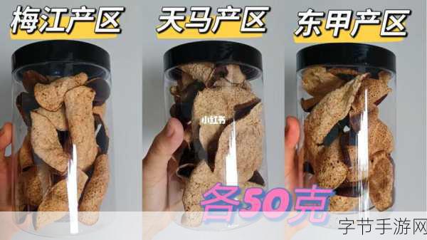 久一线产区二线产区三线产区不再更新:久一线产区二线产区三线产区的过往与未来交错之谜
