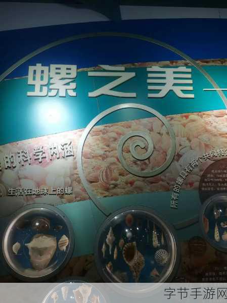 奇幻海洋冒险，探寻海螺的神秘世界
