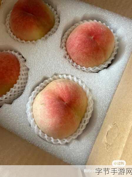 健身蜜汁扣肉水蜜桃：健身房里的甜蜜诱惑与水蜜桃的秘密扣肉之旅