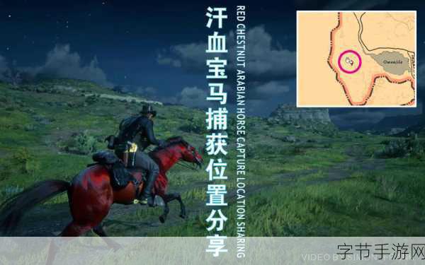 荒野大镖客 2 线上马匹抉择指南🎯