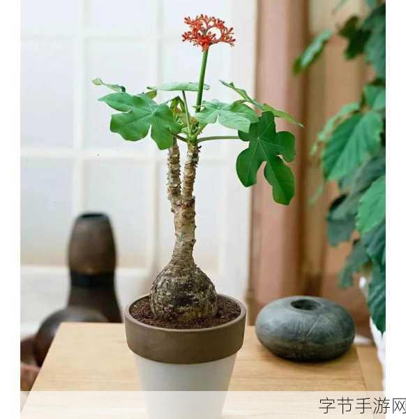 坐在根茎写作业好吗：在根茎间静心写作业，她意外发现了隐藏的秘密