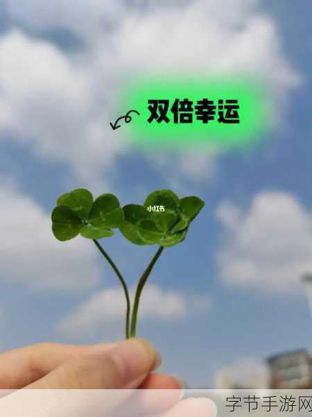 成品人和精品人的区别四叶草主播大量跳槽：成品人和精品人的背后故事四叶草主播频繁跳槽揭示的职业真相