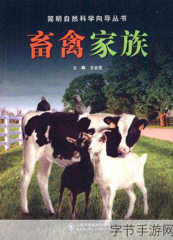 美国人与畜禽Croproation365高清视频免费看：美国人与畜禽的365天奇妙冒险之旅