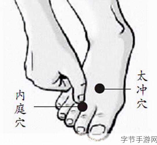 怎么揉小豆豆图解:如何通过图解教你轻松揉小豆豆,开启美味之旅的秘密探险