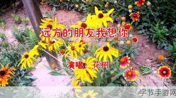 在寂寞的午夜特别的想你啥歌:在寂寞的午夜里我思念你的旋律回荡心间