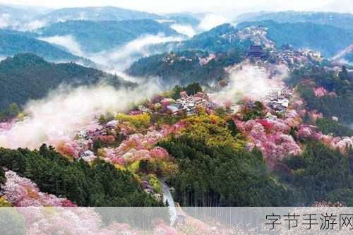 日本sparksparkling调：在樱花纷飞的季节里，追寻日本sparkling调的青春梦幻之旅