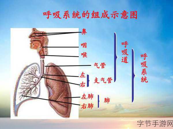 敌伦交换第十一部分：敌伦交换第十一部分：背叛与救赎的终极对决
