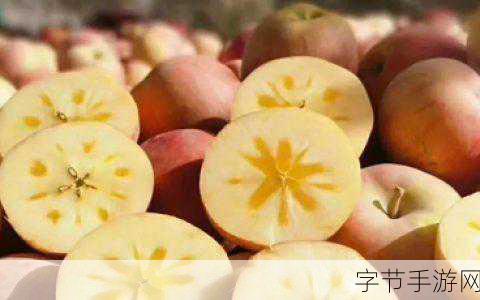 精产国品一二三产区糖心：在糖心的秘密基地中探寻精产国品一二三产业区的真相