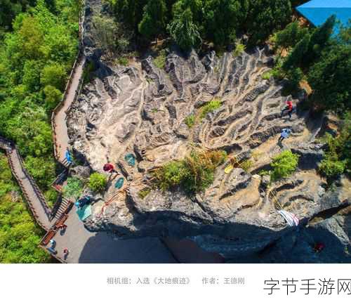 探索大地资源二在线观看免费高清的魅力：探索大地资源二的神秘之旅与生态奇迹揭秘