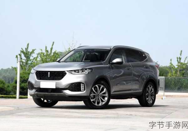 国产SUV精二区：国产SUV精二区的热血追逐与梦想碰撞之旅