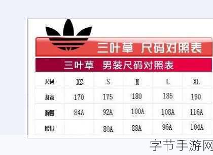 三叶草M码和欧洲码的对比:三叶草M码与欧洲码的奇妙穿搭之旅探秘