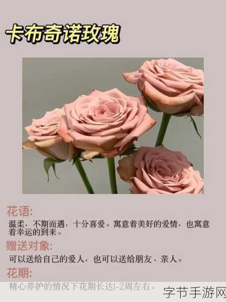 一面亲上边一面膜下边的含义:一面亲上边一面膜下边的秘密揭示了深藏心底的爱情与背叛