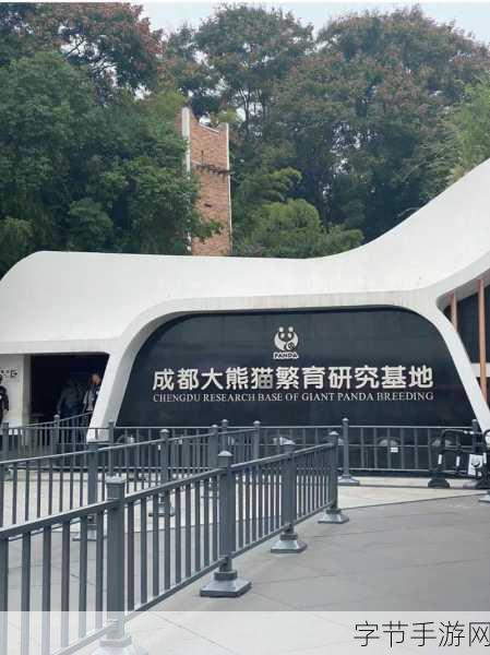 成都私人高清影院的市场前景 🌟🎥🏙️