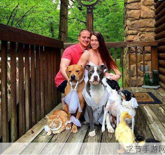 人与畜禽互动的乐趣 🐶🐱🐴