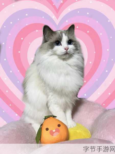 糖心柚子猫甘雨的情人节礼物 🍊💖🐱