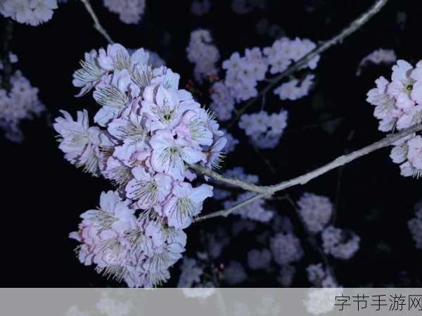 儿媳的爱 ❤️💖🌸