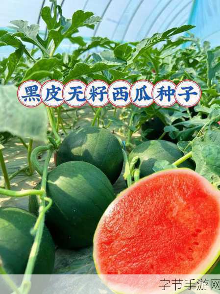 五一吃瓜！爆料黑料🍉😱🔥