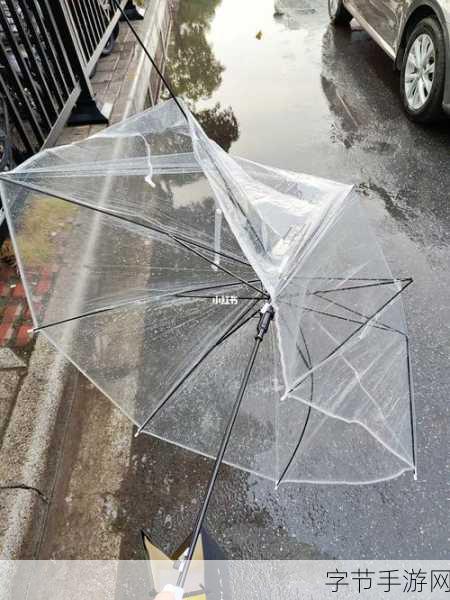 小雨伞拔萝卜，效果惊喜！🌱☔️🥕
