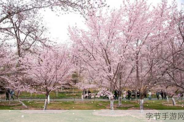 A级黄片秀色直播_探索多元化内容的A级情趣直播平台新体验