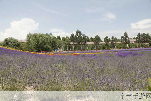 伊犁园在线人口_探索伊犁园在线人口的增长与变化趋势