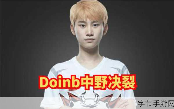 doinb出了什么事_Doinb近期遭遇的争议与事件分析