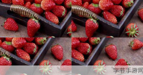 x草莓视频_探索x草莓视频:全新视角下的精彩内容体验