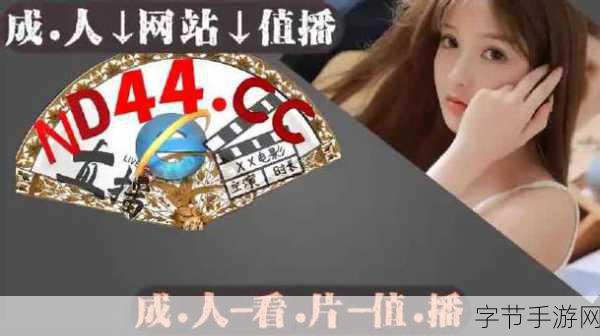 夜间禁用软件入口视频怎么用_如何有效利用夜间禁用软件入口进行视频扩展