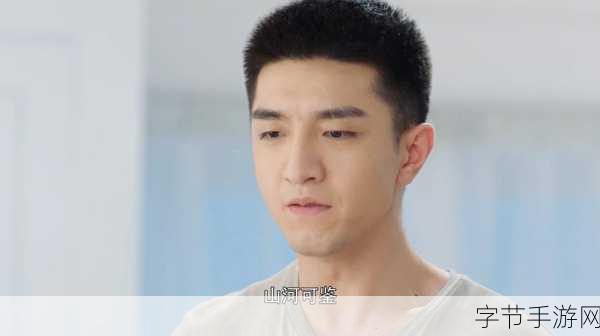 厉致诚要林浅第三次细节描写_细腻情感交织中的第三次重逢与启示