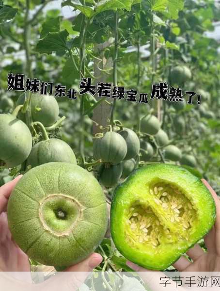 朝阳吃瓜群众 论坛_朝阳吃瓜群众热议热门话题，论坛互动火爆！