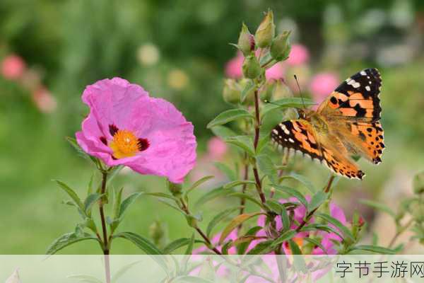 花蝴蝶免费版6集大全多少集88044_拓展花蝴蝶免费版6集大全全集精彩内容盘点