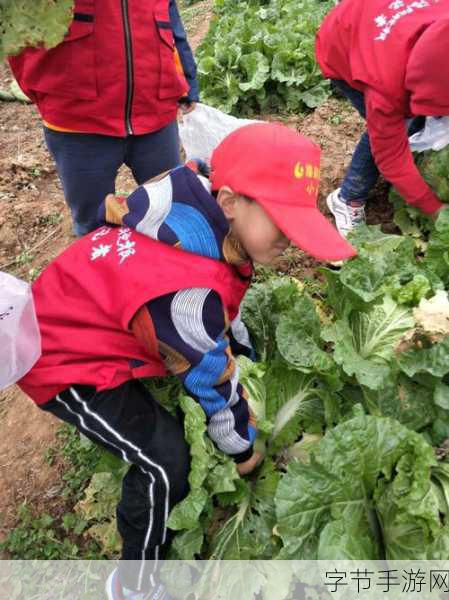 光腿拔罗卜_光腿拔萝卜:享受自然的乐趣与自由