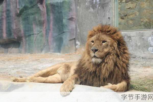 探索动物餐厅，兑换码宝藏大揭秘😜