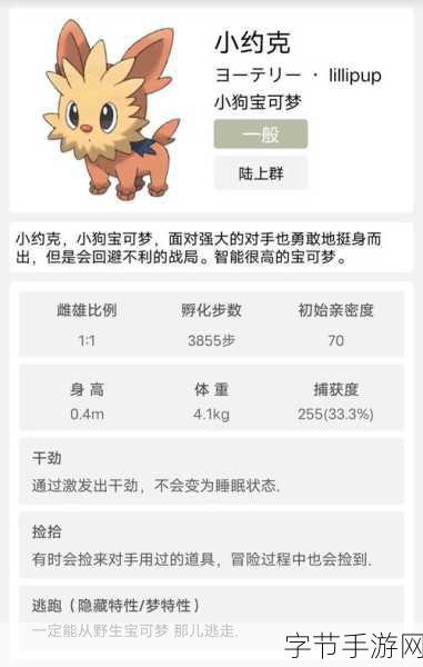 口袋妖怪新作震撼来袭,700只精灵等你超进化!