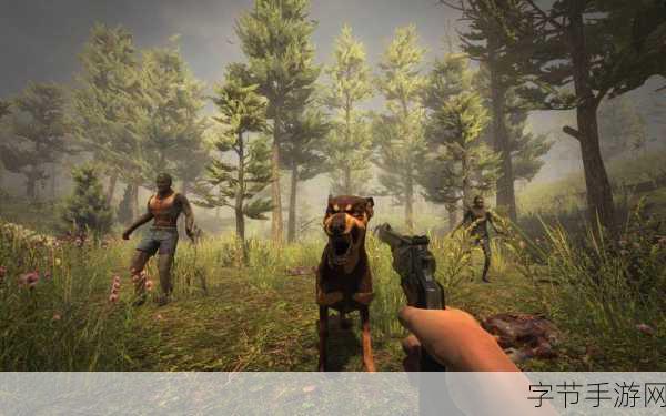 k60手游空间-全面提升K60手游空间,畅享极致游戏体验