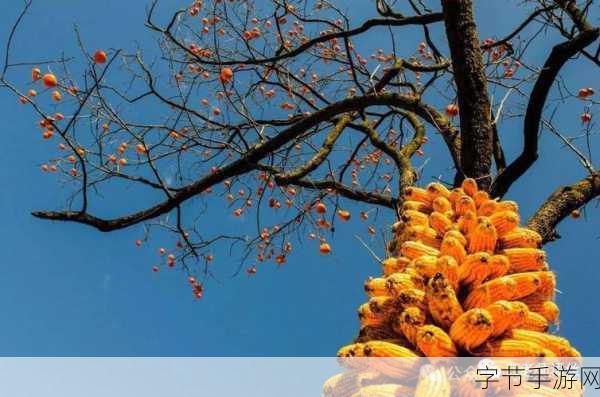 草莓视频黄片:草莓视频:畅享高清影视,探索无限精彩世界