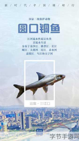 91免费视频破解版:解锁91免费视频破解版,畅享无限精彩内容新时代