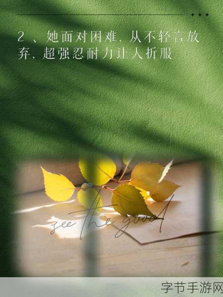 女忍耐力测试：全面提升女性忍耐力的多维测试与挑战活动