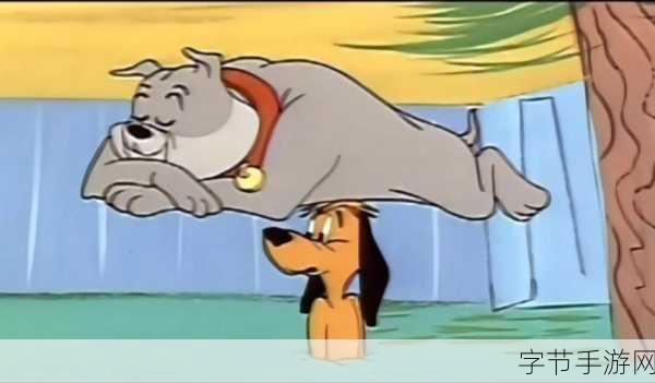 tom地域网名入口:拓展TOM地域网名入口,助力用户个性化展示与交流体验