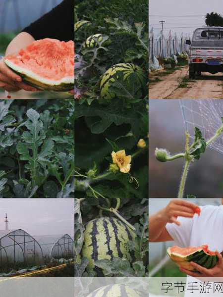 17c吃瓜爆料免费:17c吃瓜爆料:最新内幕大揭秘,真相让人震惊!