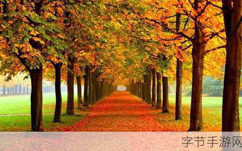 亚洲色图片888888888：探索多彩亚洲文化的迷人风景与美丽瞬间